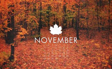 November ’21 Newsletter